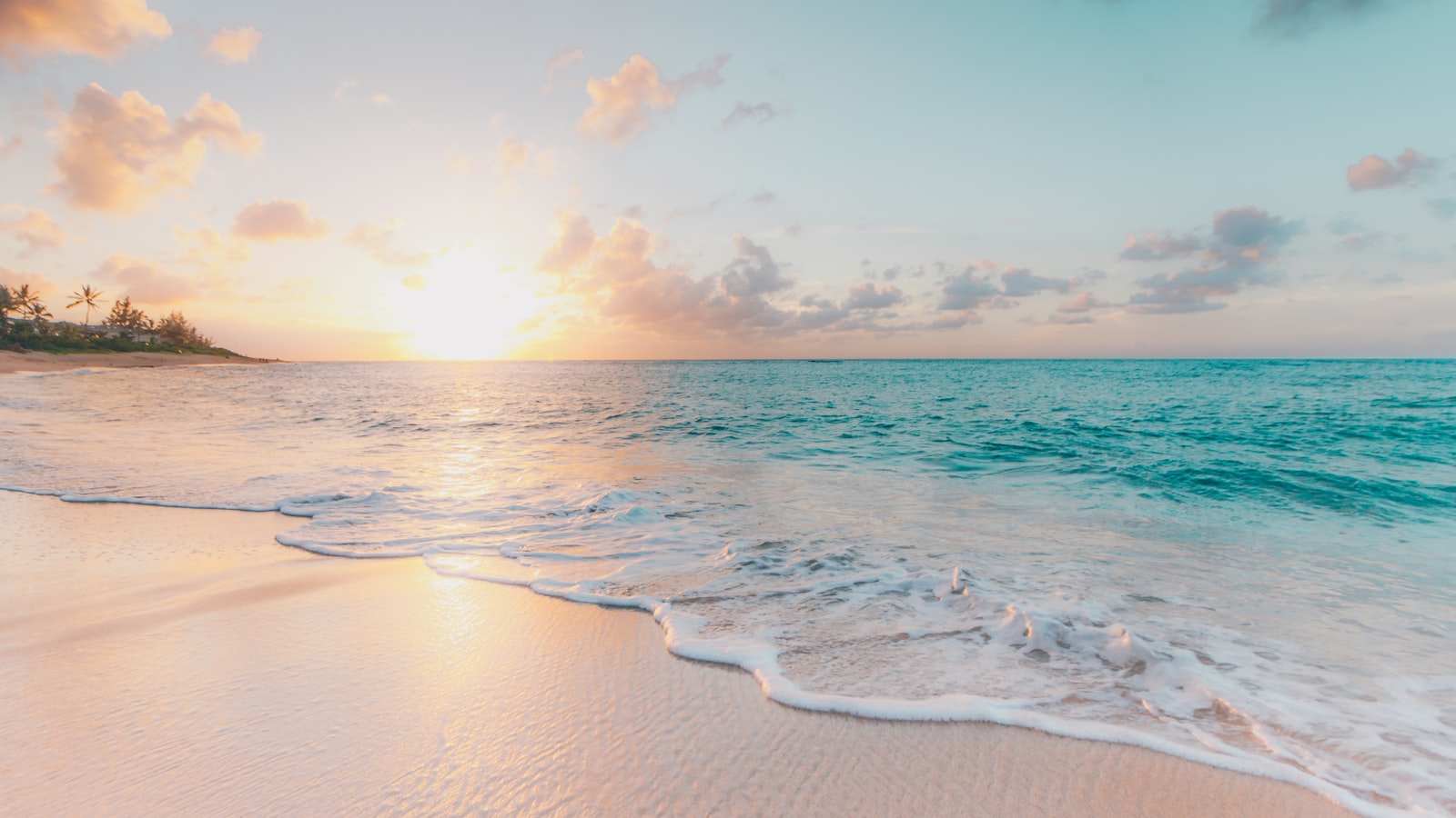 Mid-Beach rentals
